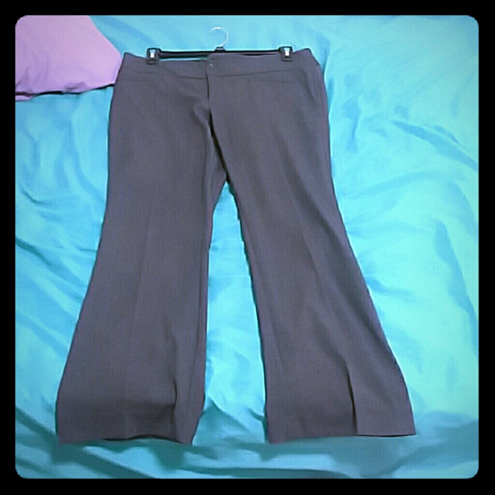 Hollywood dress pants